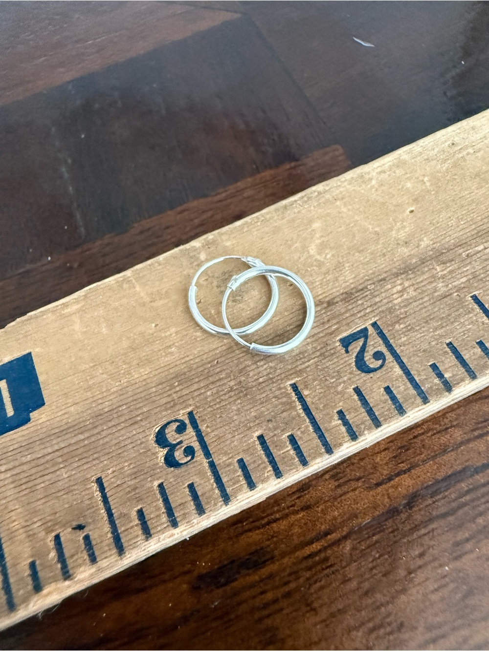 New No tag Stainless Steel Earrings
